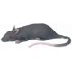 thumbnail image 2 of Broma de Ratón Realista de Goma – Loftus International, 2 of 2
