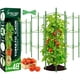 thumbnail image 1 of Tutor para tomates Legigo de 1,6 m, paquete de 4, estacas de soporte para plantas, 1 of 8