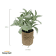 thumbnail image 4 of Salvia Planta Artificial con Macetero Decoración SunnyYard, 4 of 4