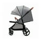 thumbnail image 3 of Coche Grande Plus Gris, 3 of 3