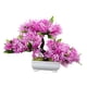 thumbnail image 3 of Árbol De Bonsái Artificial, Decoración De Plantas Artificiales Para Granja, Estante De Oficina, Color Rosa, 3 of 3