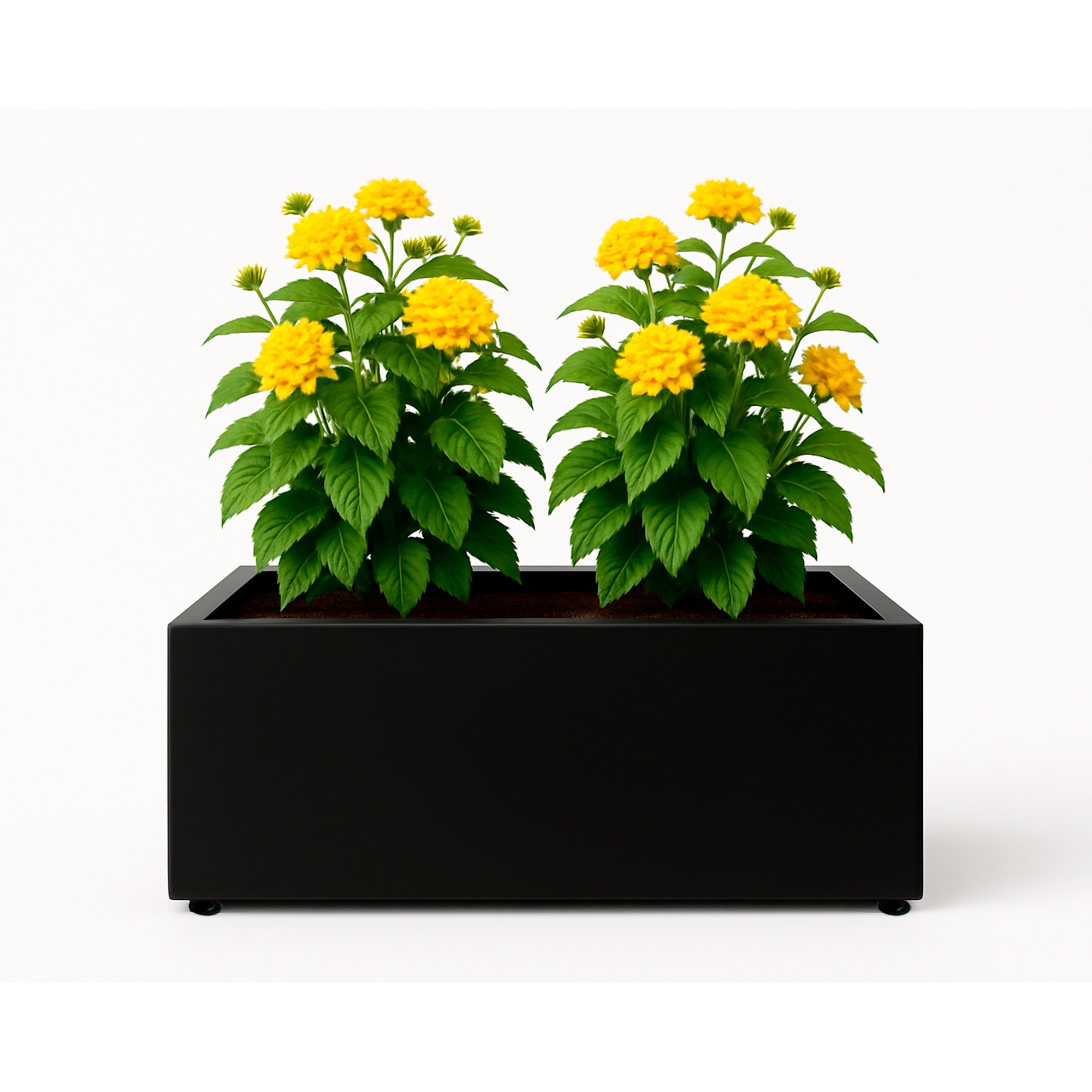 Versatile - Bancal Metalplanter 90-35 -S