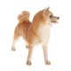 thumbnail image 4 of Simulación De Animales Modelo Figura Ni?os Juguete Educativo Decoración Amarillo Shiba Inu, 4 of 5