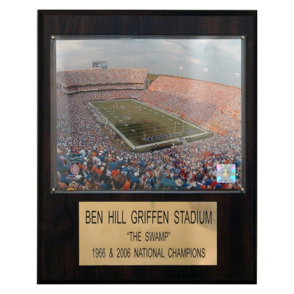 Placa C&I Collectables de fútbol americano NCAA Ben Hill Griffin Stadium