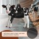 thumbnail image 4 of Eslinga para Terneros BRINGERPET 76x64 cm Resistente Capacidad 181 kg, 4 of 7