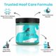 thumbnail image 2 of Arcilla para el tratamiento de la podredumbre de la ranilla Therazure 600 ml para animales con pezuñ, 2 of 7