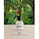 thumbnail image 2 of Perfume EYFEL M8 INSPIRADO EN ESSENTIAL Eau de Parfum 50mL, 2 of 8