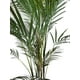 thumbnail image 3 of Palmera Areca Hoja Fina 71cm Artificial, 3 of 3