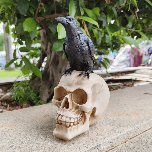 1pc Crow Skull Ornament, Halloween Gift, Animal Skull Living Room Yard Decoration, Bar Crafts Resin Skull Skull, Antique Distressed,Halloween Room Decor Goth,ghost Face