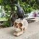 thumbnail image 1 of 1pc Crow Skull Ornament, Halloween Gift, Animal Skull Living Room Yard Decoration, Bar Crafts Resin Skull Skull, Antique Distressed,Halloween Room Decor Goth,ghost Face, 1 of 4