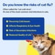 thumbnail image 5 of Suplemento Para Gatos Felysin L Lisina Para El Sistema Inmunológico, 5 of 9