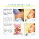 thumbnail image 3 of Chupete De Látex Ergonómico, 4 A 24 Meses, 3 of 3