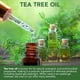 thumbnail image 4 of Gel limpiador de párpados NOVEHA Tea Tree para blefaritis, 50 ml, paquete de 3, 4 of 6