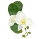 thumbnail image 3 of Orquidea Artificial 5X5X22.5Cm, 3 of 3