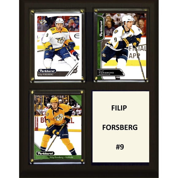 Placa C&I Collectables NHL Nashville Predators 20 x 25 cm color marrón