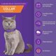 thumbnail image 3 of Collar Calmante Gato ReducciÃ³n AntiestrÃ©s Ajustable 2 Unid, 3 of 7