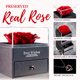 thumbnail image 2 of Rosa Preservada Lovappy Eternal Enchanted con Collar Rojo, 2 of 3