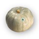 thumbnail image 1 of Zapallo Entero Orgánico Bolsa, 1 kg, 1 of 1