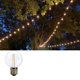 thumbnail image 5 of Bombilla LED LRSUEYSKIN G40 1W 2700K E17 120V paquete de 15 unidades, 5 of 6