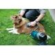 thumbnail image 3 of Cepillo Para Mascotas Pet Brush Aspiradora Inalámbrica X5 full, 3 of 4