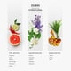 thumbnail image 3 of Aceite difusor de fragancias AROMAPLAN Hotel Scents Dubai 148 ml, paquete de 2, 3 of 7
