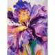 thumbnail image 1 of Kit de Pintar por Números GEMFAMILY 41x51 cm Flor de Lirio, 1 of 7