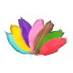 thumbnail image 1 of Art Multi Color Skeleton Leaves Para DIY Boda Fiestas De Oto?o Decoración Magnolia Vein, 1 of 5