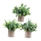 thumbnail image 5 of 3 Piezas De Pequeñas Plantas Falsas En Maceta Para Estante, Sala De Estar, Baño, Estilo E, 5 of 5