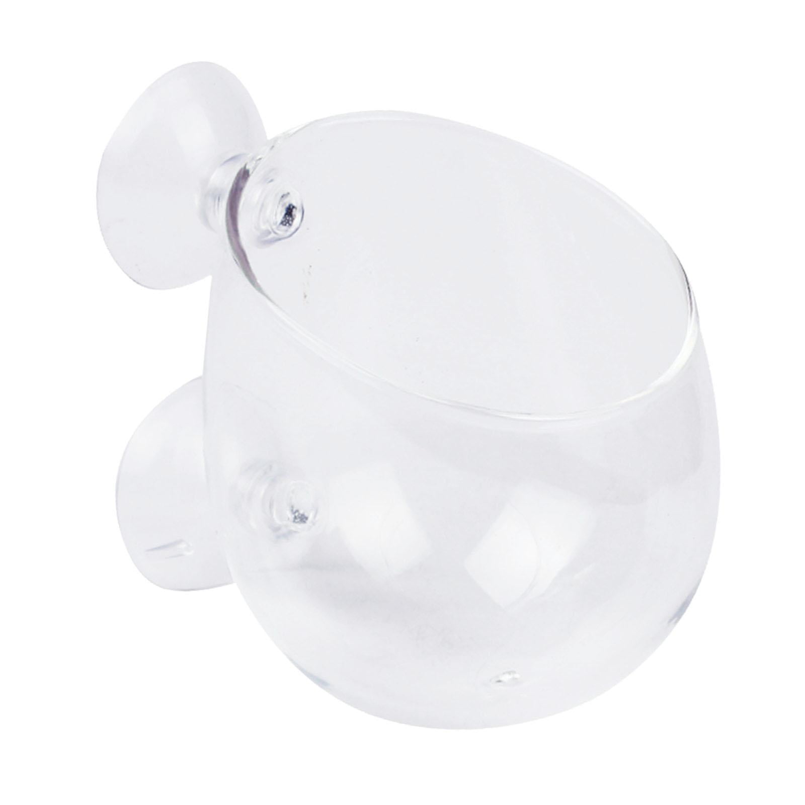 Taza Colgante De Vidrio Para Plantas De Acuario, Maceta De Cultivo De Plantas Pequeñas, Decoración Para Pecera