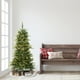 thumbnail image 3 of Árbol de Navidad Puleo International Preiluminado Aspen Fir 1,4 m, 3 of 3