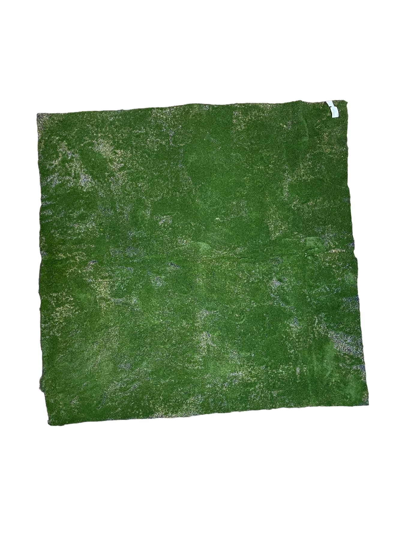 Corel - Carpeta De Musgo 100Cm X 100Cm