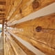 thumbnail image 4 of Masilla Sashco Log Jam 887 ml color arena - paquete de 10, 4 of 4