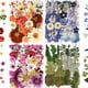 thumbnail image 1 of Flores Secas Prensadas Nisetten 110 Piezas, 1 of 3