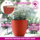 thumbnail image 5 of Macetas autorregables GARDENIX DECOR, paquete de 3 con indicador, 5 of 8