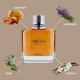 thumbnail image 5 of Forever Young For Men Vurv Edp 100ML Hombre, 5 of 8