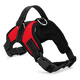 thumbnail image 1 of Arnés talla s, ajustable para perros mascotas paseo, 1 of 3