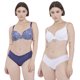 thumbnail image 1 of Sostén Mujer Bipack Liso Print Copa C Ecru/ Navy Corona, 1 of 5