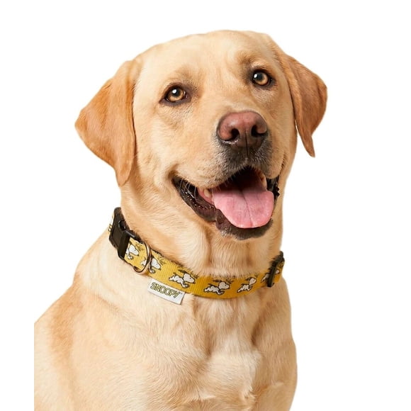 Collar Mascota Lady Genny D-03 Mostaza