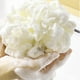 thumbnail image 3 of 4 esponjas exfoliantes de tejido familiar para ducha, bolsa de red, cepillo para bañera, bola exfoliante, cara, cuerpo, bacinilla, espuma rica, 3 of 5