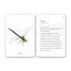 thumbnail image 3 of Fíjate: Insectos de Editorial MTM, 3 of 7
