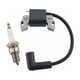 thumbnail image 1 of Bobina de encendido con bujía para cortacésped Briggs & Stratton 08P500, 08P600, 093J02, 09P600 y 09P700. Reemplaza 798534, 799582, 593872 y 595009., 1 of 5