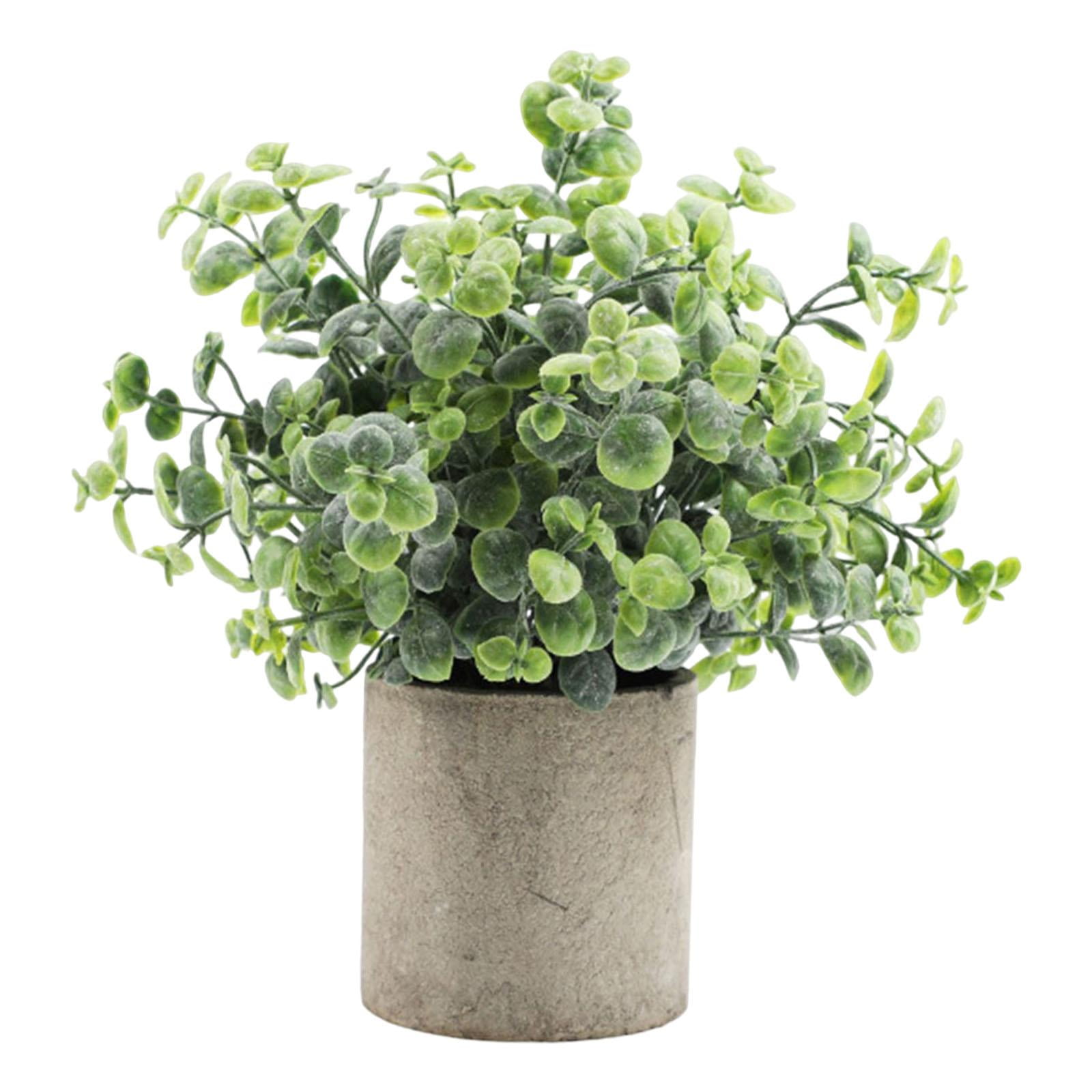 Magideal - Planta Artificial En Maceta Bonsai En Maceta Gris Plástico Faux Pequeña Vegetación Decoración Mini Plantas S Para Estante De Decoración De , Desmodio