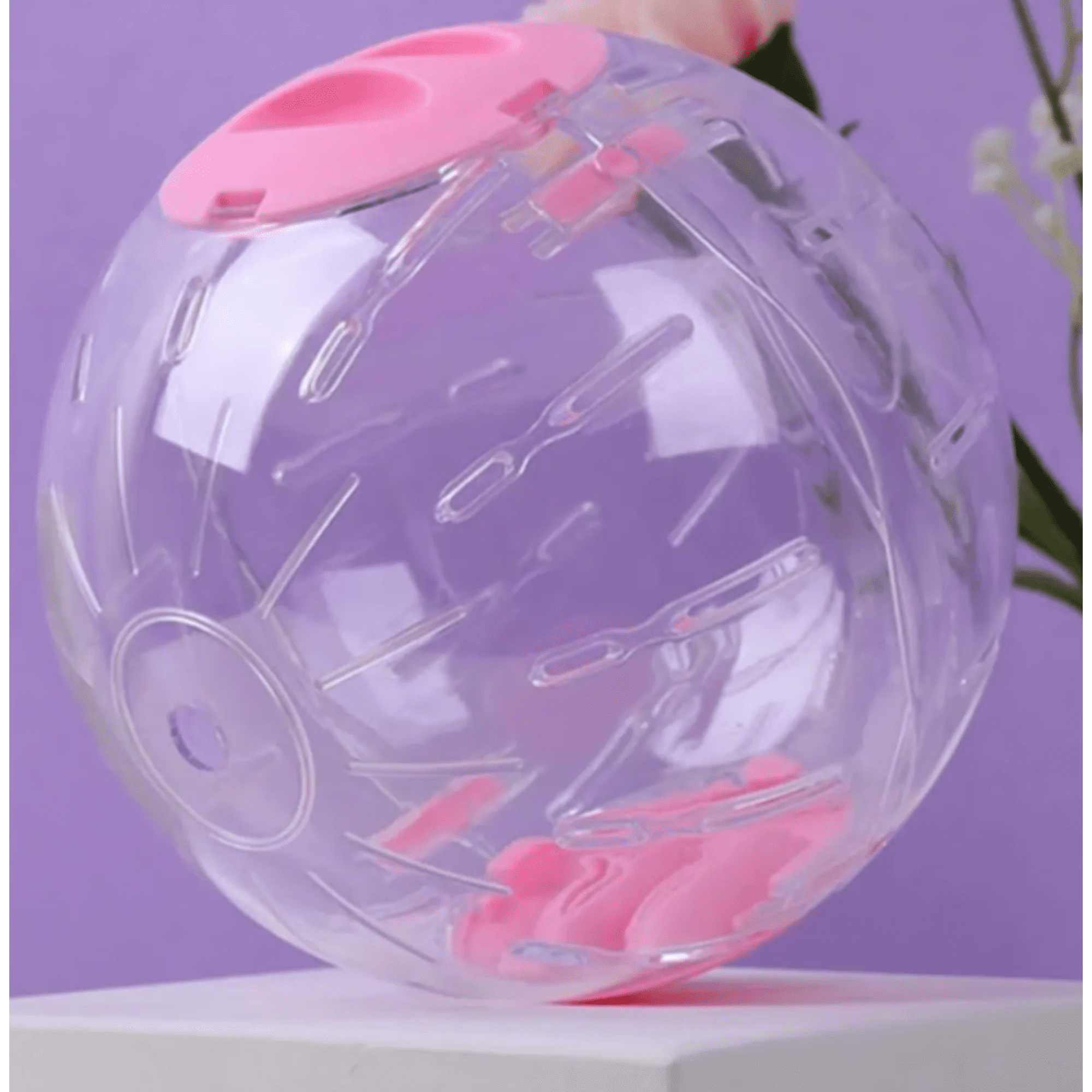 Pelota De Hámster De 16 Cm Bola Hámster Juguete