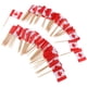 thumbnail image 2 of 100 piezas decorativas bandera palillos fiesta comida decoraciones Canadá, 2 of 3