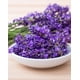 thumbnail image 2 of Esencias Aromáticas Para Jabones, Cremas, Difusor, Otros 30 Ml Lavanda Poett, 2 of 2