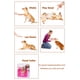 thumbnail image 4 of Entrenamiento para mascotas Training Clicker HoaOo con correa de muñeca (paquete de 2), 4 of 6