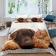 thumbnail image 1 of x2192 Bed Sheets Digital Printing /pc Animal Cat Pattern Quilt Cover Pillowcase Bed Set Cover Quilt Soft Microfiber Bedding Set 3-Piece Bedding Set (1 Duvet Cover + 2 Pillow Shams) nj2192, 1 of 5