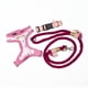 thumbnail image 2 of Set Accesorio para paseo Perro Flamenco Talla S, 2 of 3
