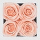 thumbnail image 2 of Flores preservadas Chloe's Graceful Fleurs – 4 rosas de tono melocotón, 2 of 6