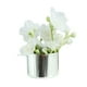 thumbnail image 1 of Maceta En Miniatura Para Casa De Muñecas, Modelo De Maceta Para Decoración De Casa De Muñecas, Flores Blancas, 1/12, 1 of 5